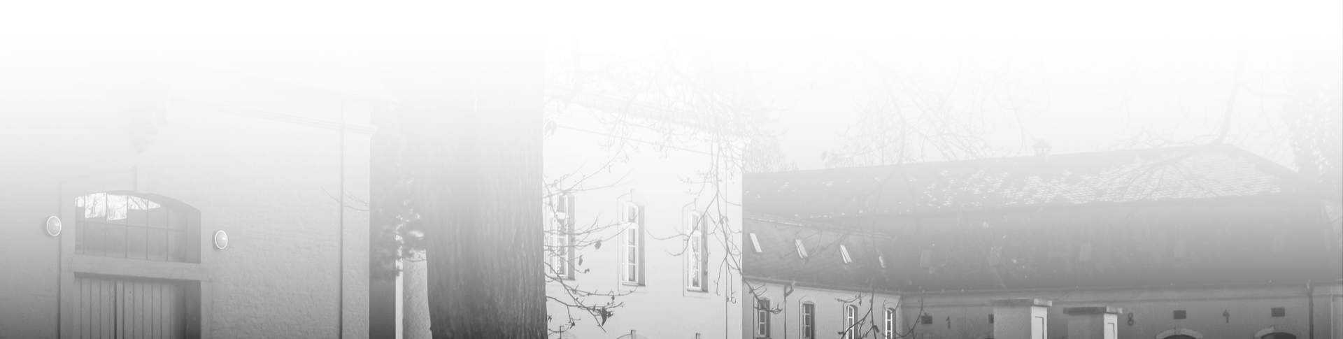 LLMO GEO Agentur Würzburg Hintergrund 2